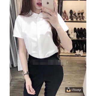 Ao sơ mi cộc tay kh nhrs . Áo free sz 55 kg đổ xuống vừa nhé kh . Chất bao dày đẹp nhed kh ơi. Sỉ giá bao sốc luon nh . 