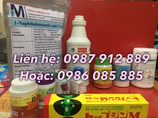 Keo liền da cây Nhật Bản 200g