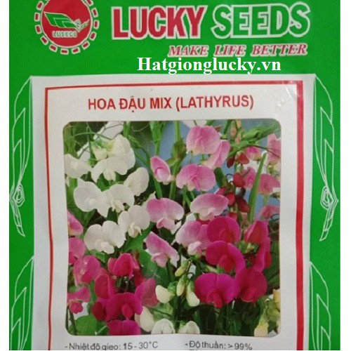 Hạt Giống Hoa Đậu Mix Nhiều Màu LUCKY SEED- Mỗi Túi 10 Hạt