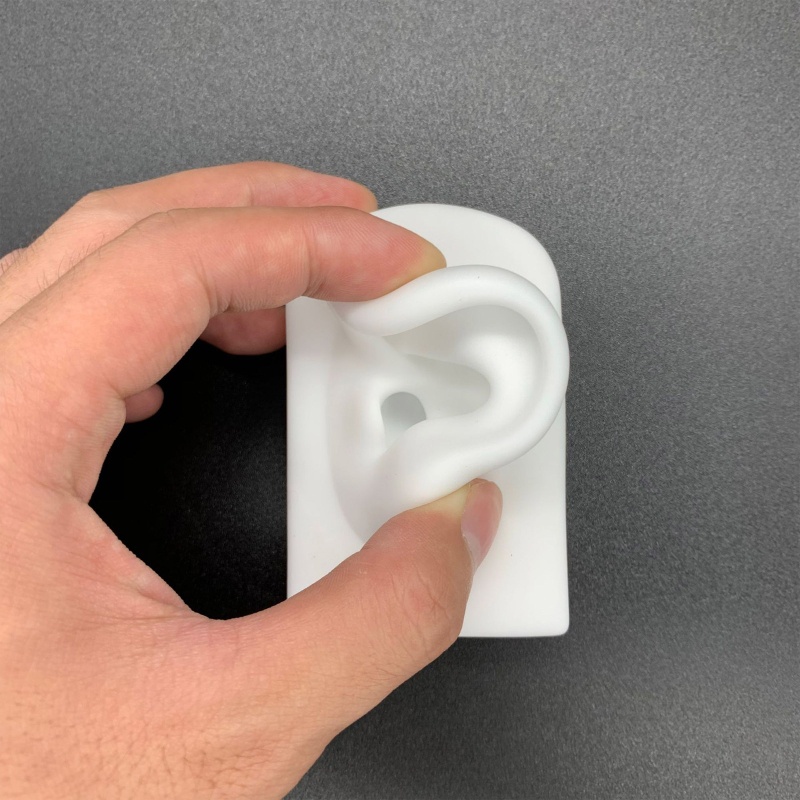 Mô Hình Tai Người Bằng Silicon Mềm Dùng Giảng Dạy 1-1