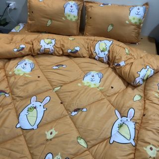 Bộ chăn ga gối Poly phao