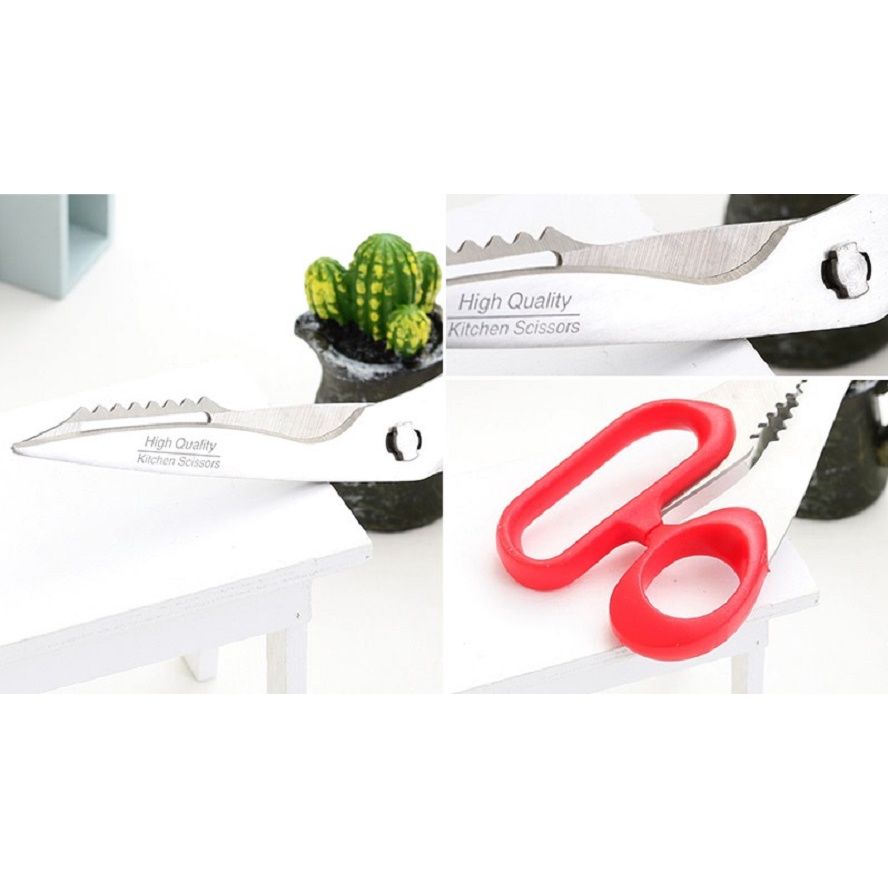 Daiso Japan Kéo nhà bếp chuyên dùng cắt hải sản