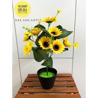 Cây hoa giả- Hoa hướng dương kèm chậu