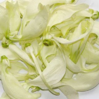 HẠT GIỐNG SO ĐŨA TRẮNG THÁI LAN