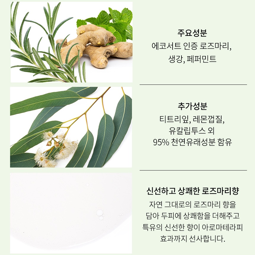 Dầu gội RATED GREEN Real Mary chiết xuất hương thảo ủ lạnh tẩy tế bào chết da đầu 400ml