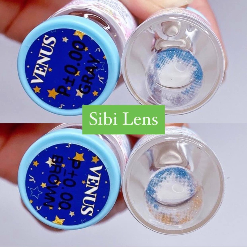 Lens Venus Gray &amp; Brown Lens - Lens Chuẩn Thái  - Cam Kết Chính Hãng