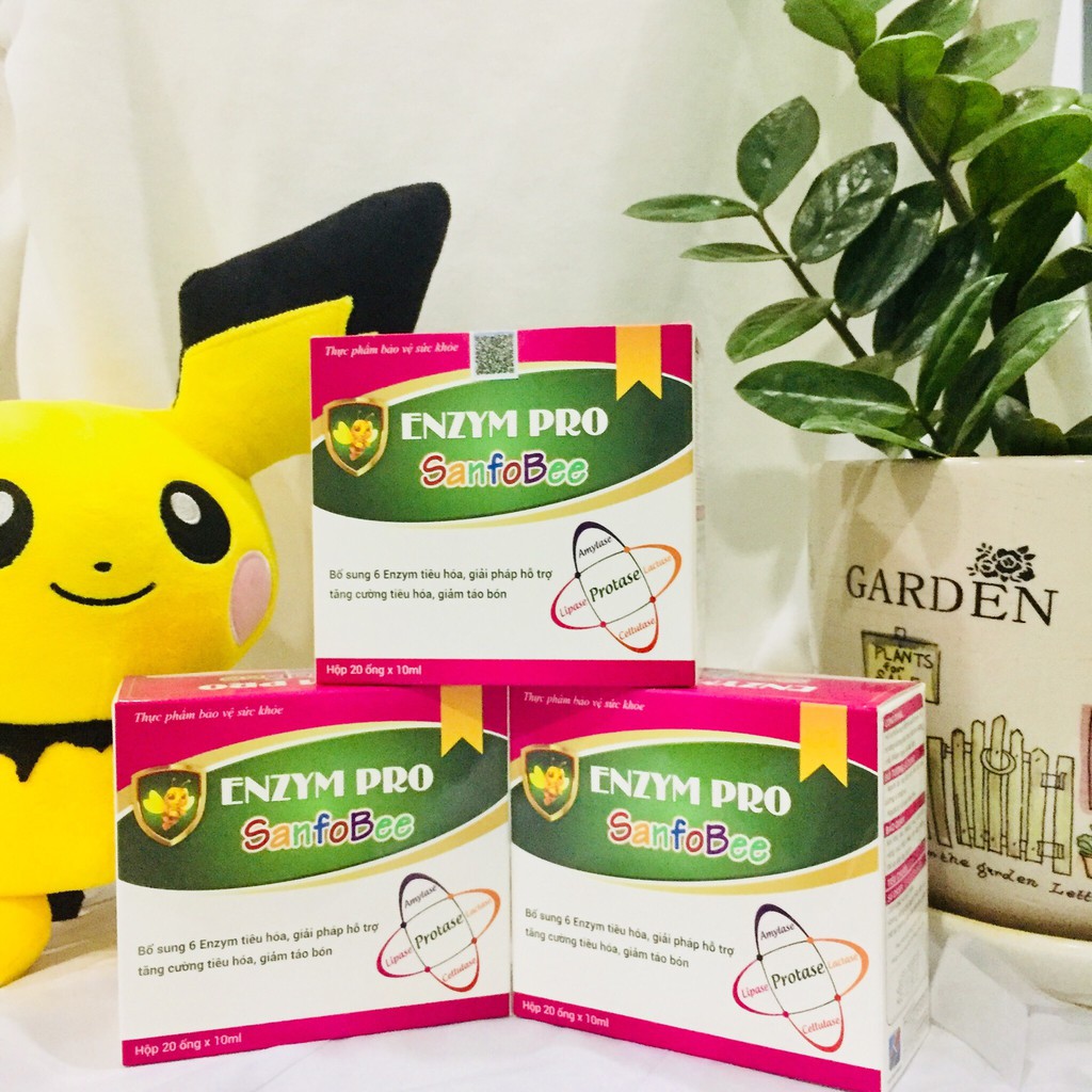 Giảm giá Enzym Pro giải pháp cho hệ tiêu hoá khỏe mạnh - BeeCost