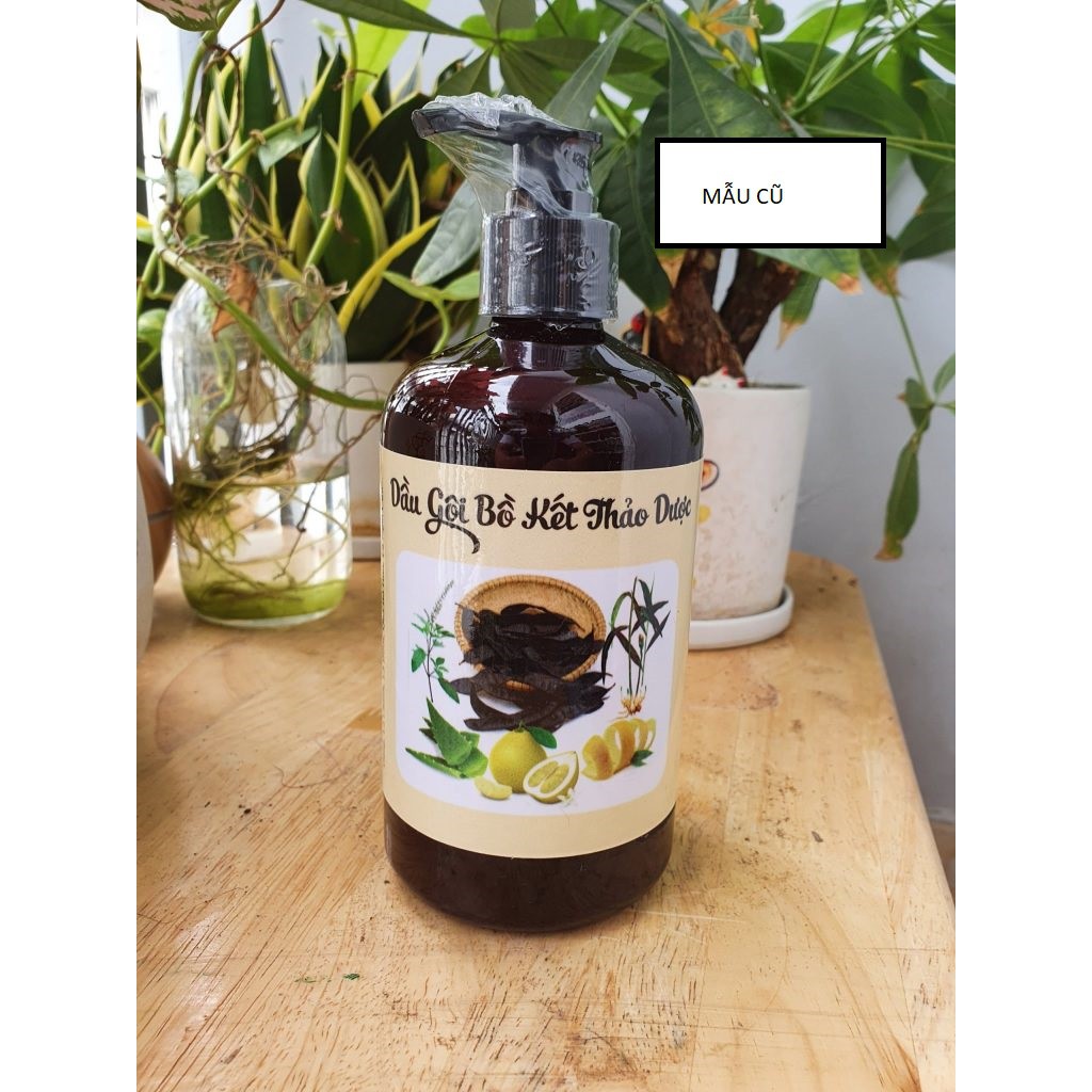 Dầu gội bồ kết cô đặc, Dầu gội thảo dược Handmade,Sạch gàu giảm rụng tóc Chai 500ml - Goss VIệt | BigBuy360 - bigbuy360.vn