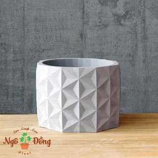 Chậu Cây Trồng Sen Đá Xương Cây Cảnh Hoa Kiểng Bằng Xi Măng Trang Trí Văn Phòng Để Bàn Làm Việc (Hình Tròn)