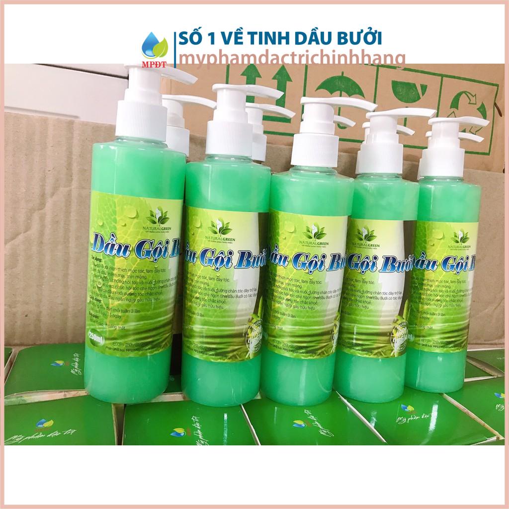 (250ml) Dầu Gội Tinh Dầu Bưởi Ngăn Ngừa Rụng,Gãy Tóc,Kích Mọc Tóc Hiệu Quả Từ 3 Tuần Mỹ Phẩm Ngân Bình (Chai)