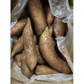 Khoai sâm đất y tý 1kg