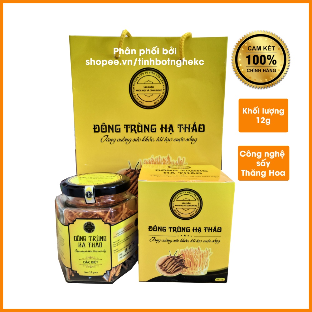 Nấm đông trùng hạ thảo cordyceps - viện hàn lâm khoa học công nghệ VN - Khối lượng 12g