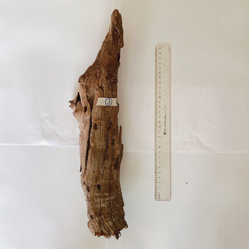 Lũa săn đá vân gỗ đẹp trang trí bể cá, tiểu cảnh, sân vườn, terrarium, bán cạn nhiều