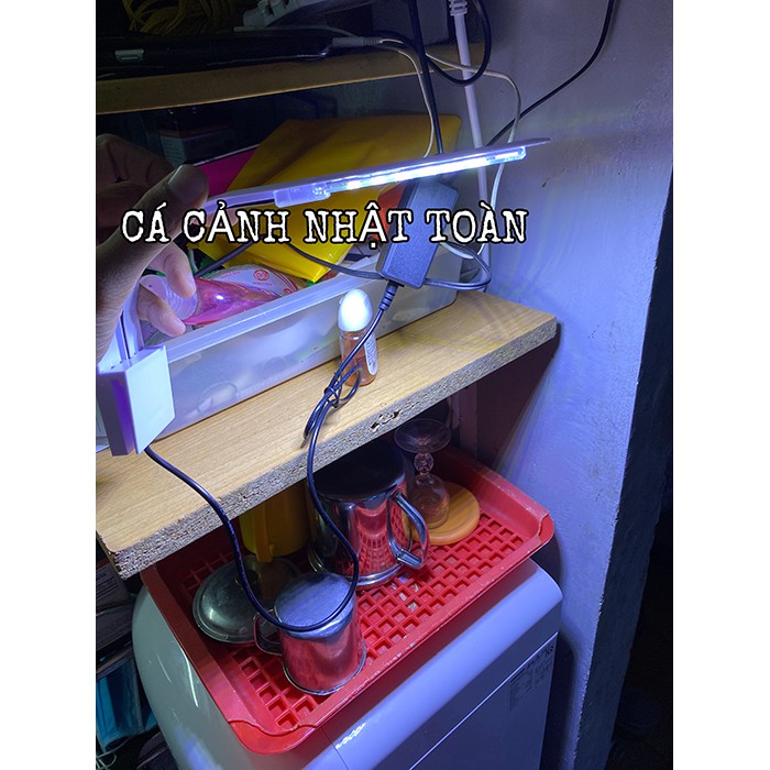 ĐÈN LED KẸP 1 BÊN HỒ CÁ JENECA X5