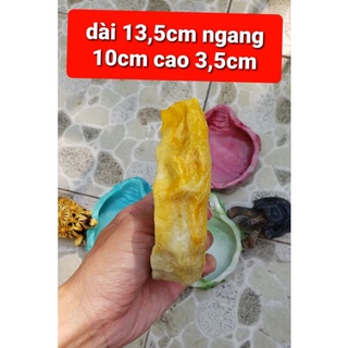 Chén ăn +máng nước cho Rùa và bò sát.