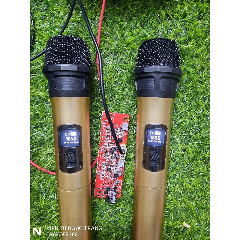 Micro Cho Loa Kéo - Giá 1 Cặp