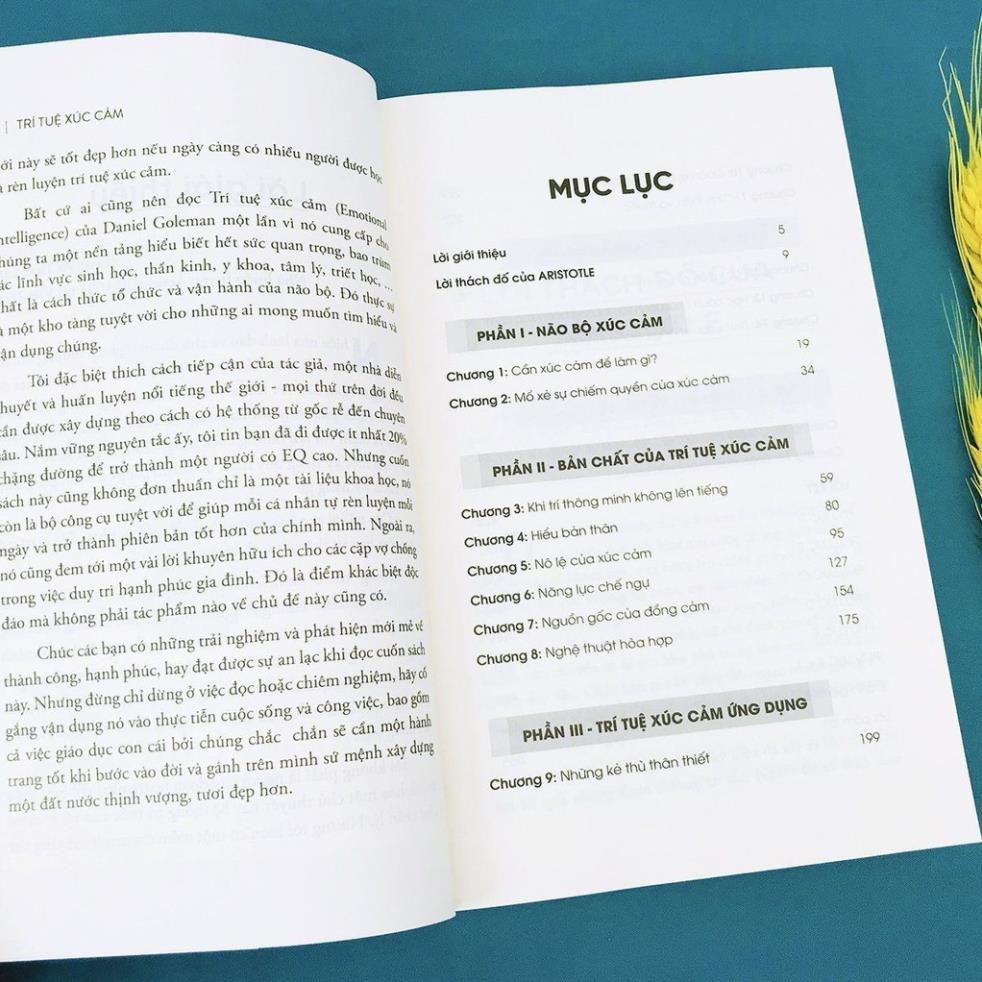 Sách - Trí Tuệ Xúc Cảm 199K (Tái bản 2021)