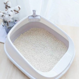khay vệ sinh mèo 52*40*12cm (big size cho 10kg lun)