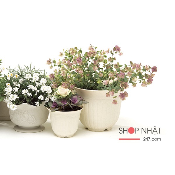 [Hỏa Tốc HN] Chậu hoa tròn màu trắng 21cm Nội địa Nhật Bản
