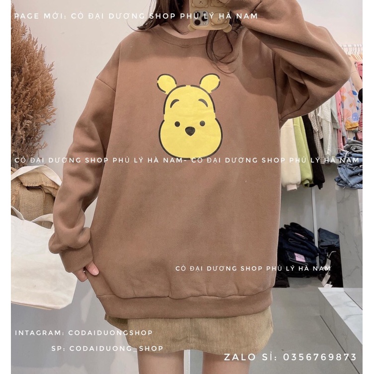 áo nỉ SWT in hình gấu | BigBuy360 - bigbuy360.vn