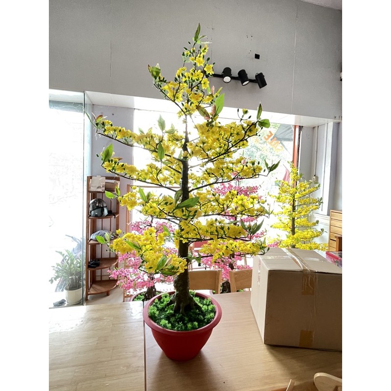 CHẬU HOA MAI GIẢ-CHẬU HOA MAI VÀNG TRANG TRÍ TẾT CAO 145CM