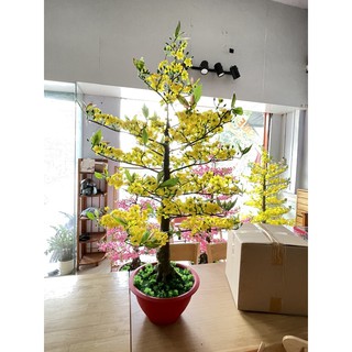 CHẬU HOA MAI GIẢ-CHẬU HOA MAI VÀNG TRANG TRÍ TẾT CAO 145CM