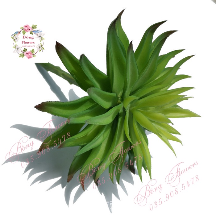 Hoa Giả - Hoa Sen Đá Nhiều Lớp Đường Kính Bông 14 cm