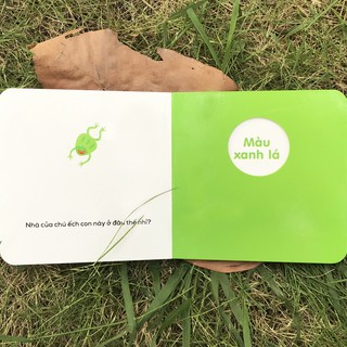 Ô Cửa Diệu Kì - Màu Sắc