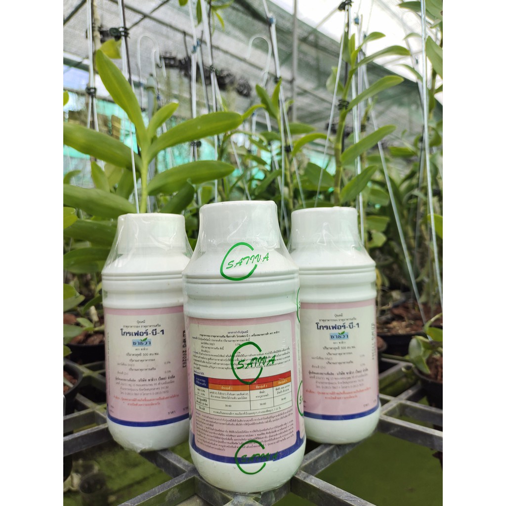 Phân Bón B1 Grofer Nhập Khẩu Thái Lan