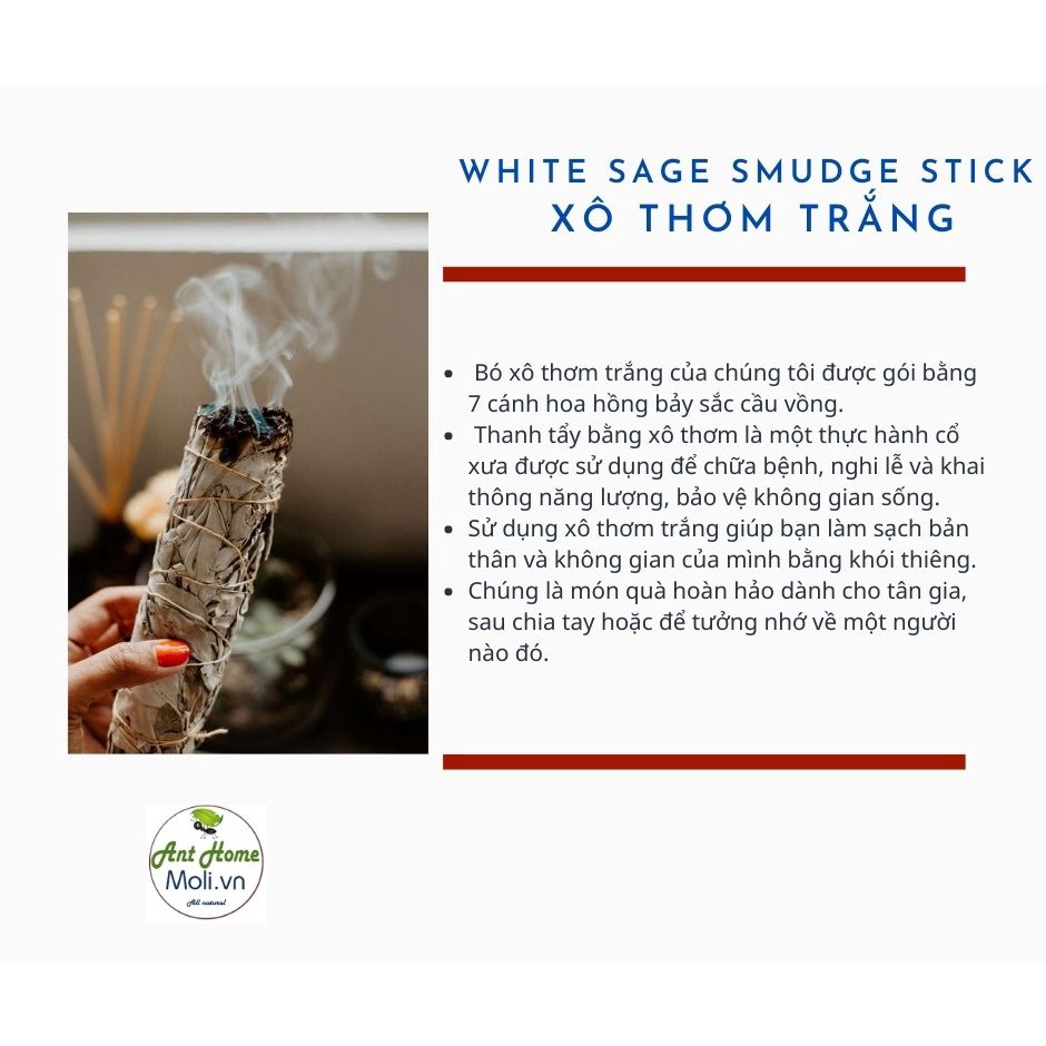 Sét Palo Santo 6gr + bó Xô thơm 10cm tặng 1 viên đá thanh tẩy tự nhiên ngẫu nhiên (lưu ý loại xô thơm)