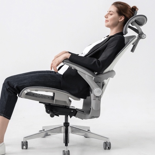 Ghế công thái học EPIONE EASY CHAIR SE V2  Hàng chính hãng