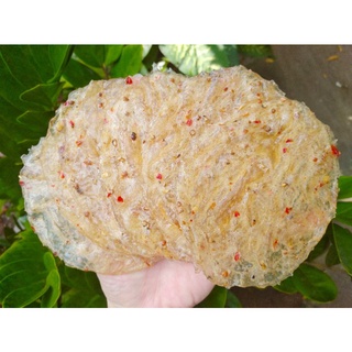 Khô cá bóng ép (cá bống ép) Phan Thiết loại dày ngon (250g)