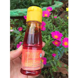 [ NEW ] Dầu hạt điều đỏ HÒA PHÁT [ 100g/hũ ]