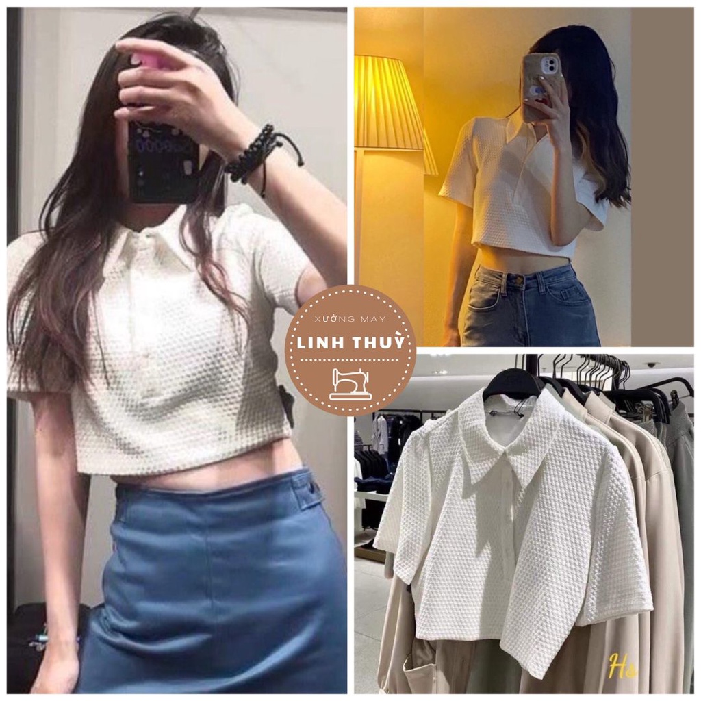 Áo croptop cổ polo tổ ong cộc tay nữ - Thun kiểu dáng ngắn ôm body trẻ trung đường phố hàn quốc ulzzang