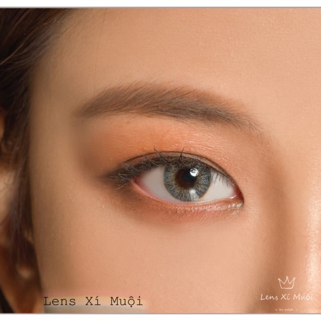 Lens Hàn 1 ngày Ann Shine Gray có độ từ 0-6 độ