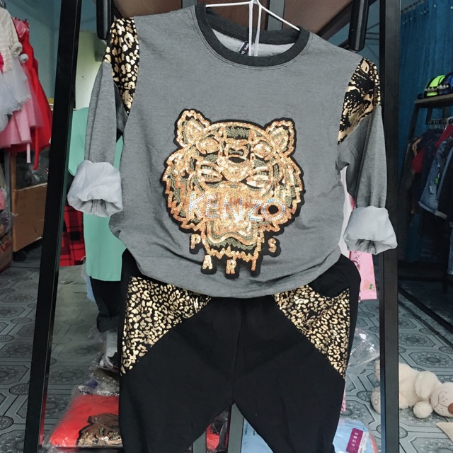 Bộ hổ