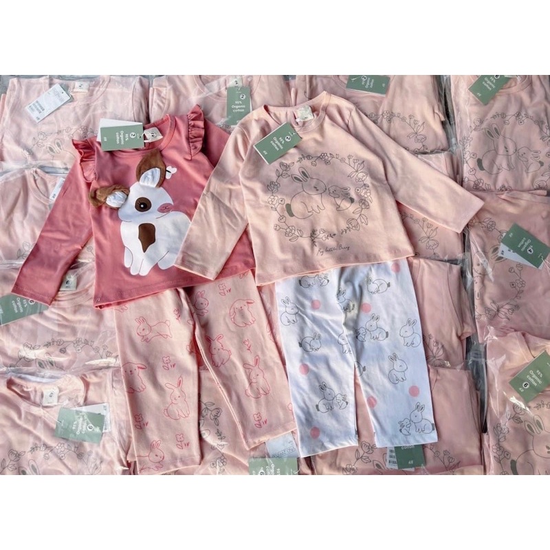 Set 2 bộ thỏ HM 2021