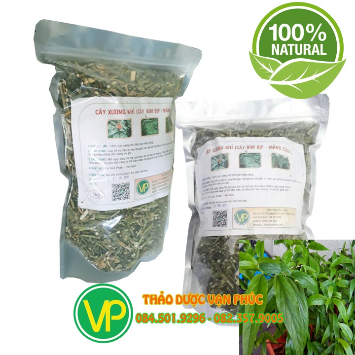 Cây xương khỉ chữa xương khớp 1kg (Hàng mới,sạch)
