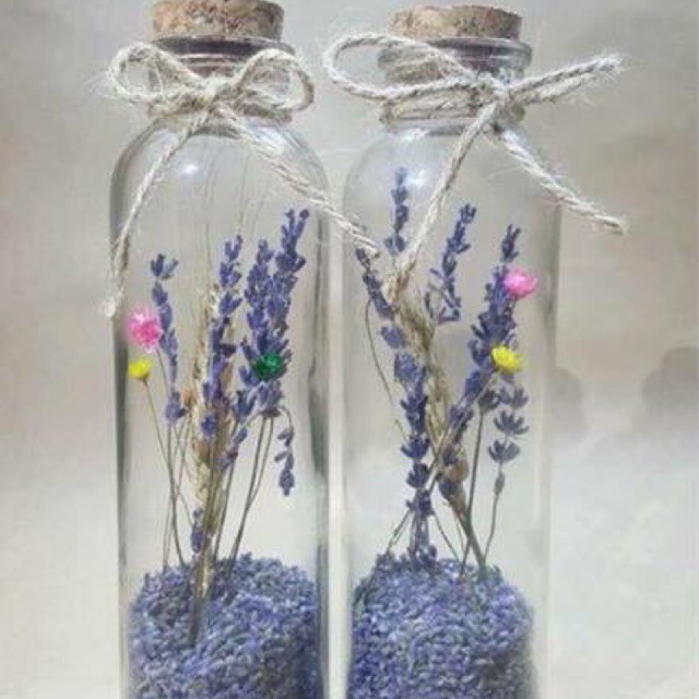 Lọ  Nụ Hoa Lavender Quà Tặng Mang lại Sự May Mắn Và Ý Nghĩa
