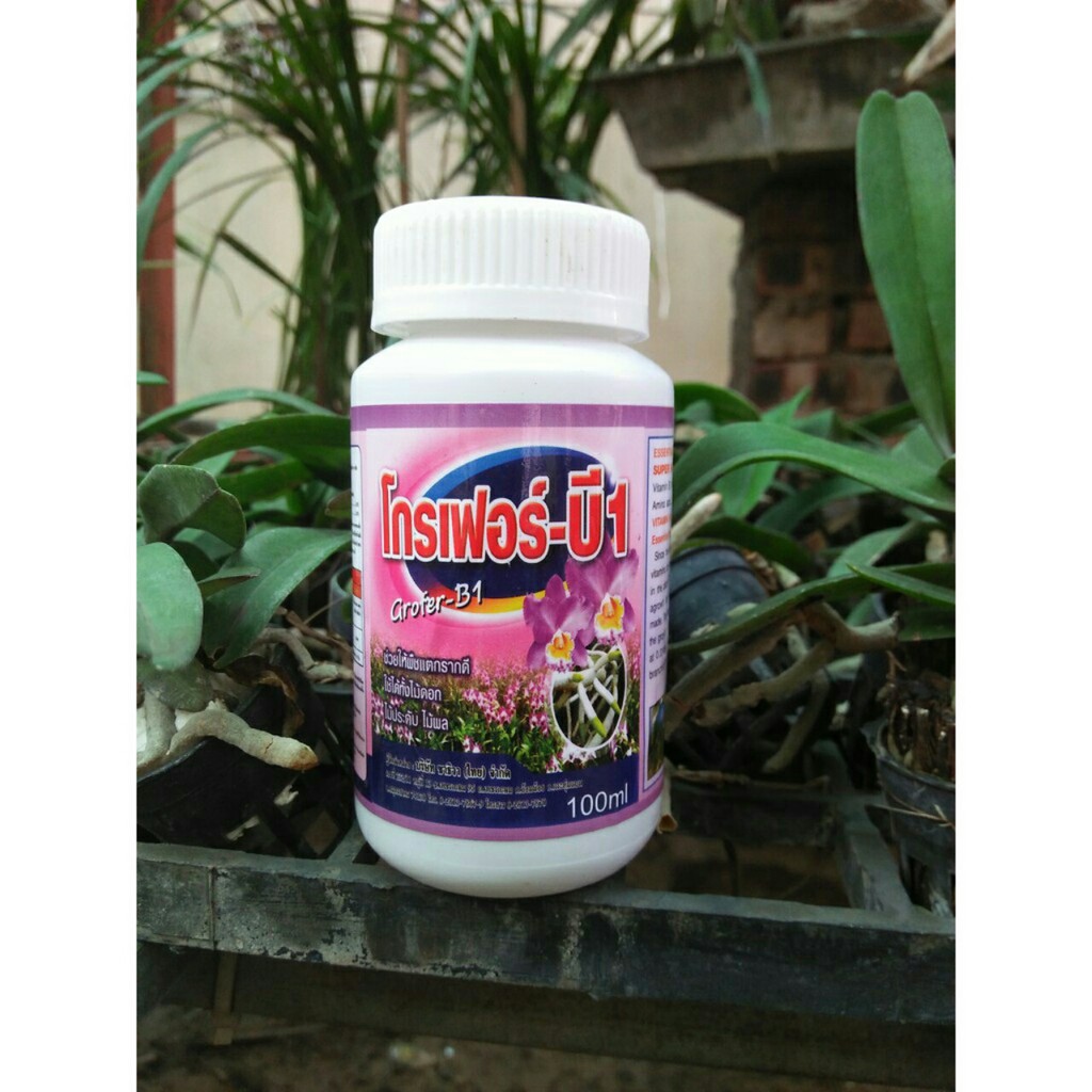 Phân Bón B1 Thái Lan 100ml