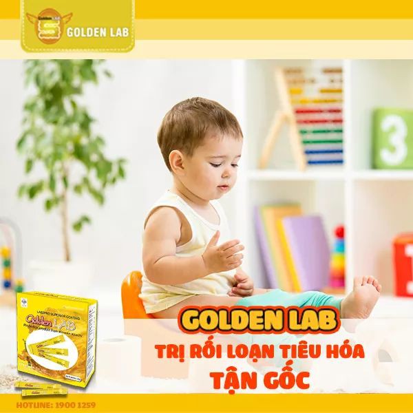 Men vi sinh Golden Lab hộp 60 gói, giúp tiêu hóa khỏe hấp thụ dinh dưỡng tối đa  - Phan An CN35