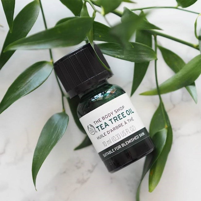 Tinh Dầu Tràm Trà Chấm Mụn The Body Shop Tea Tree Oil