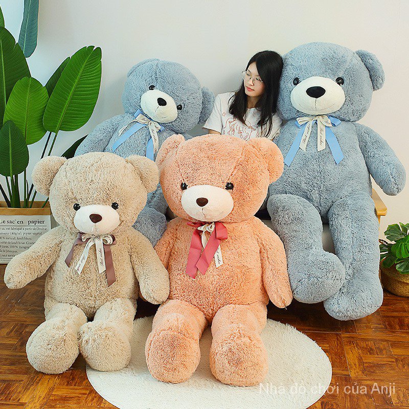 Gấu Teddy Nhồi Bông Dễ Thương 80cm / 31.5inch