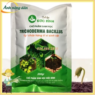 Chế phẩm sinh học Trichoderma Bacillus chứa hàng tỷ vi sinh vật cải tạo đất, ngăn nấm đất, phân giải hữu cơ
