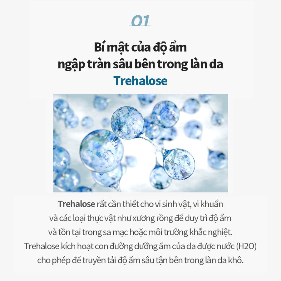 Kem Dưỡng Ẩm Làm Dịu Da AESTURA ATOBARRIER365 Hydro Soothing Cream 60ml Gomimall