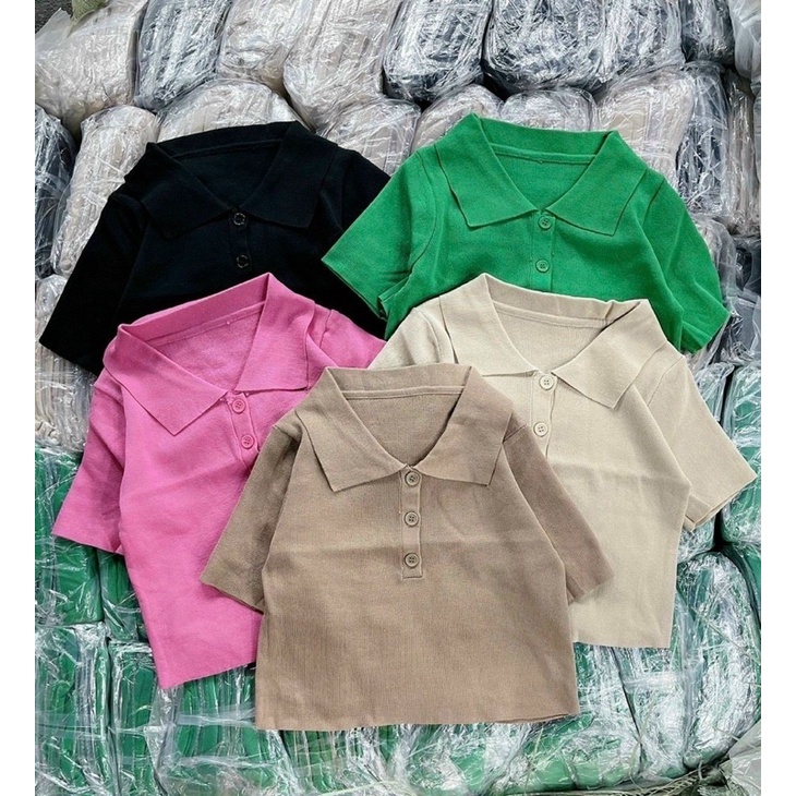 Áo polo len mỏng 3 khuy trơn, Áo len kiểu dáng ôm cổ bẻ ngắn tay AL7537 - NhiNhi Shop