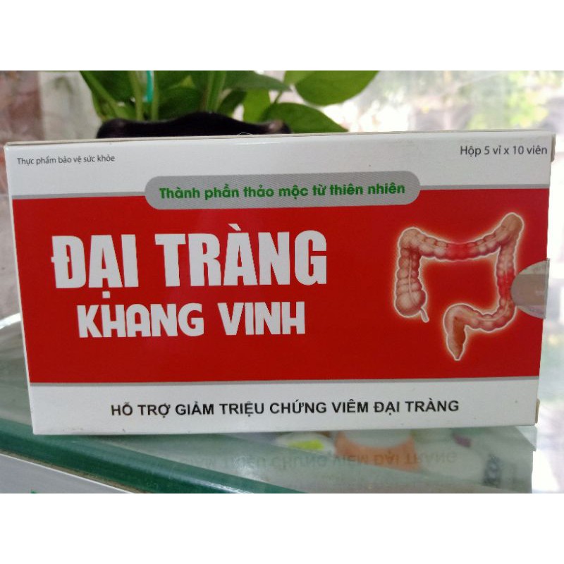 ĐẠI TRÀNG KHANG VINH 💥CHÍNH HÃNG