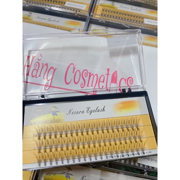 Mi Chùm vàng 10D -20D