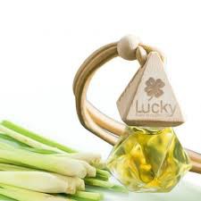 TINH DẦU TREO PHÒNG VÀ XE HƠI 10 ML