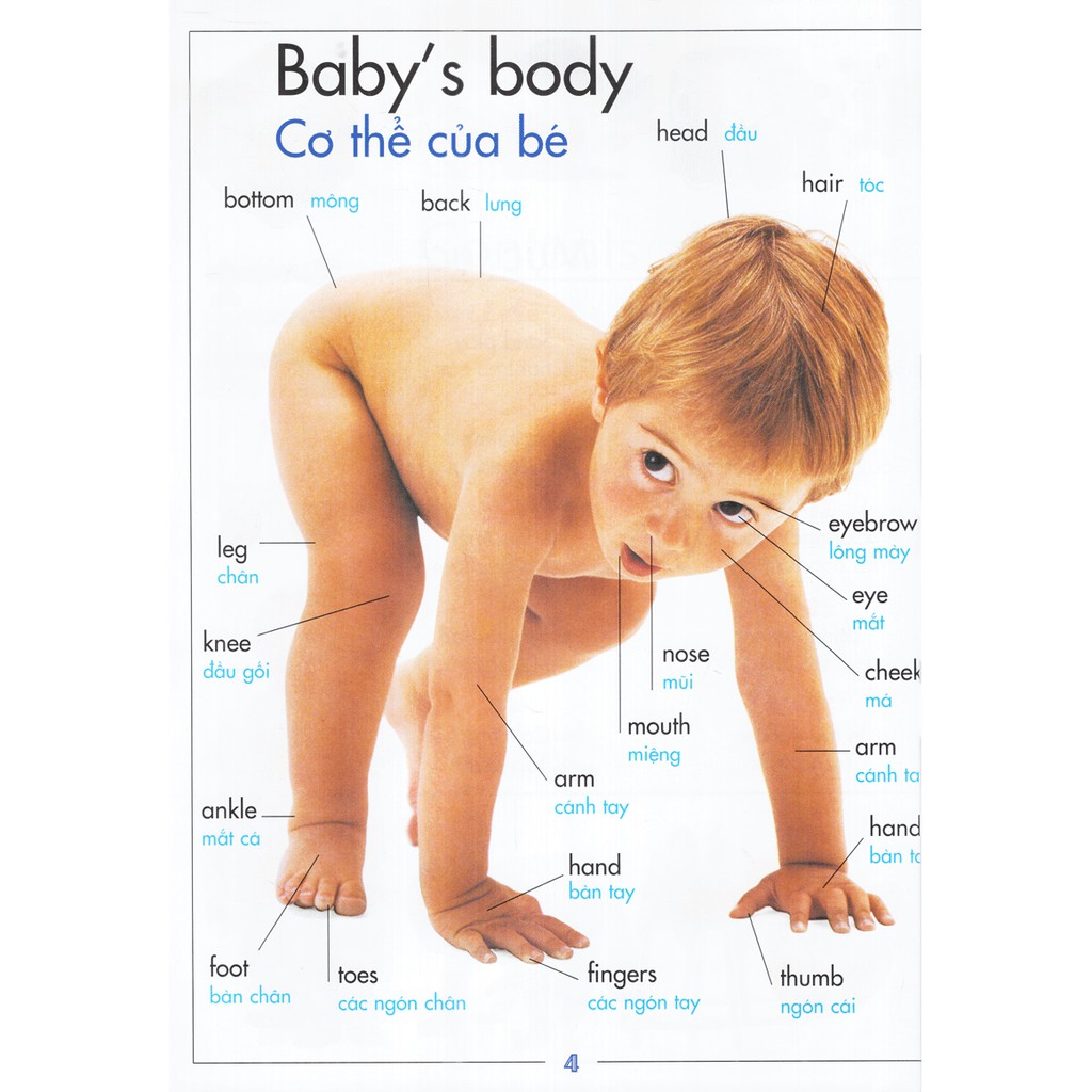 Sách - Baby's World - Thế Giới Của Bé